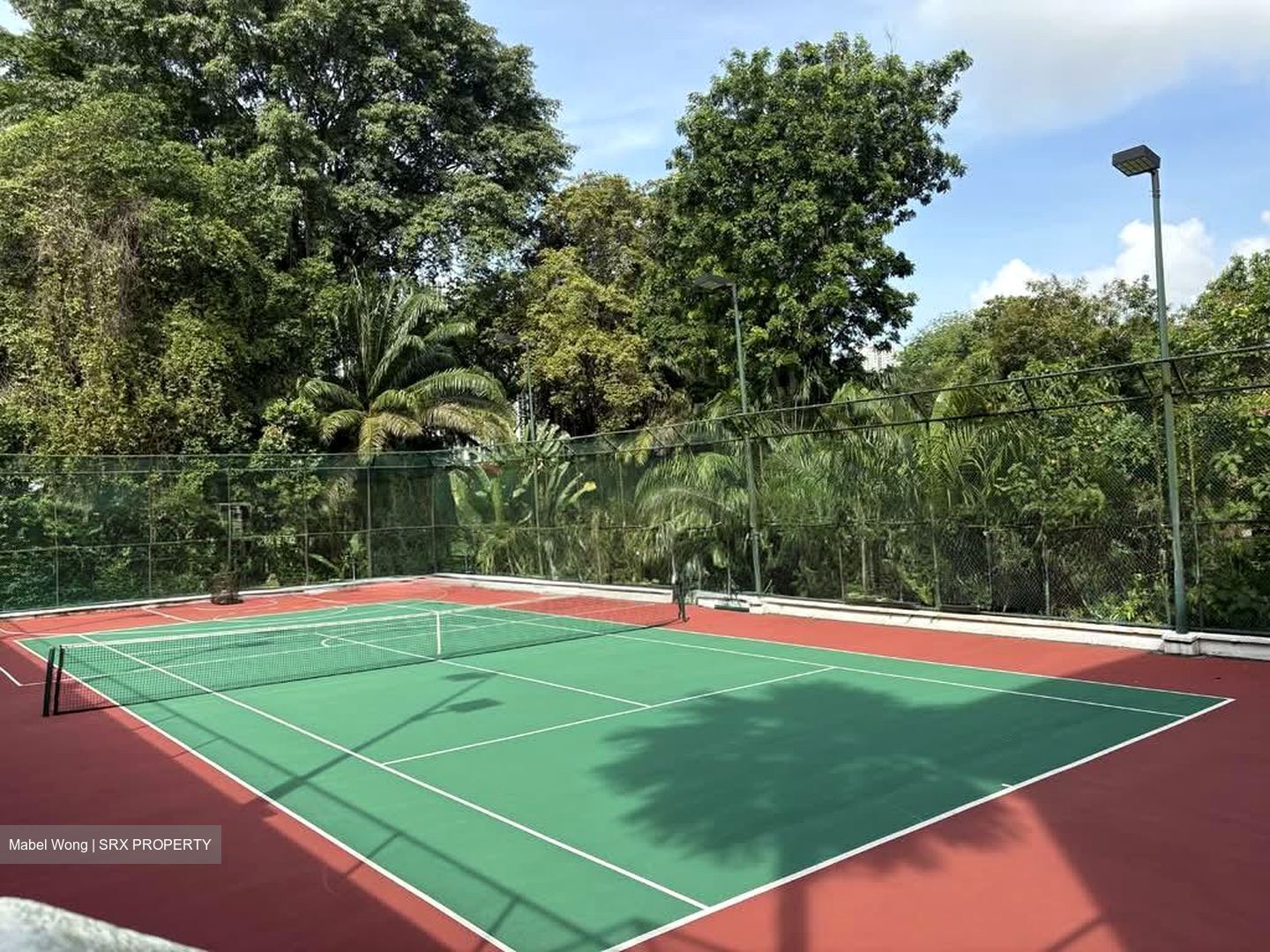 Tanglin Park (D10), Condominium #556187601
